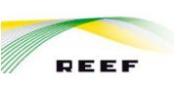 Reef